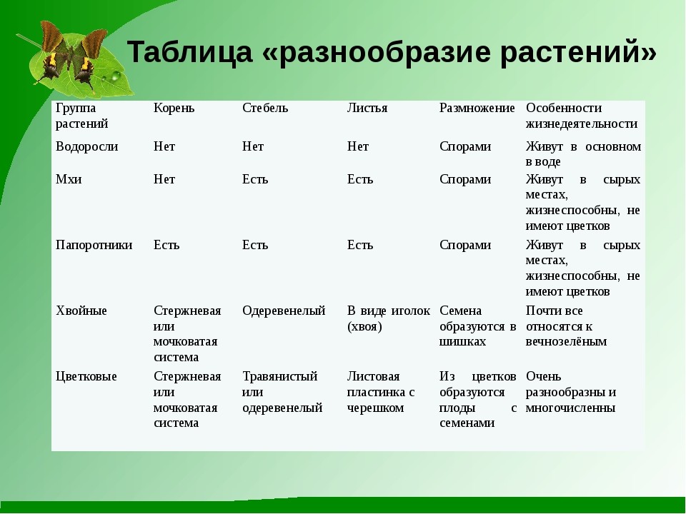 Особенности среды питания. Таблица разнообразие растений. Группы растений таблица. Таблица по растениям. Заполнить таблицу разнообразие растений.