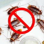 Как избавиться от тараканов?